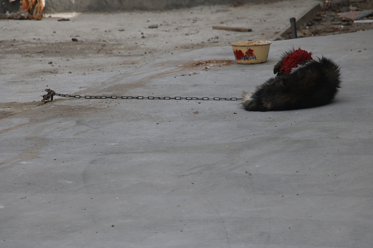 扫街日记（图ZMjk1NzY3NzU2） - 人文/纪实摄影 - 站酷设计师见习忍者原创素材 - 站酷ZCOOL