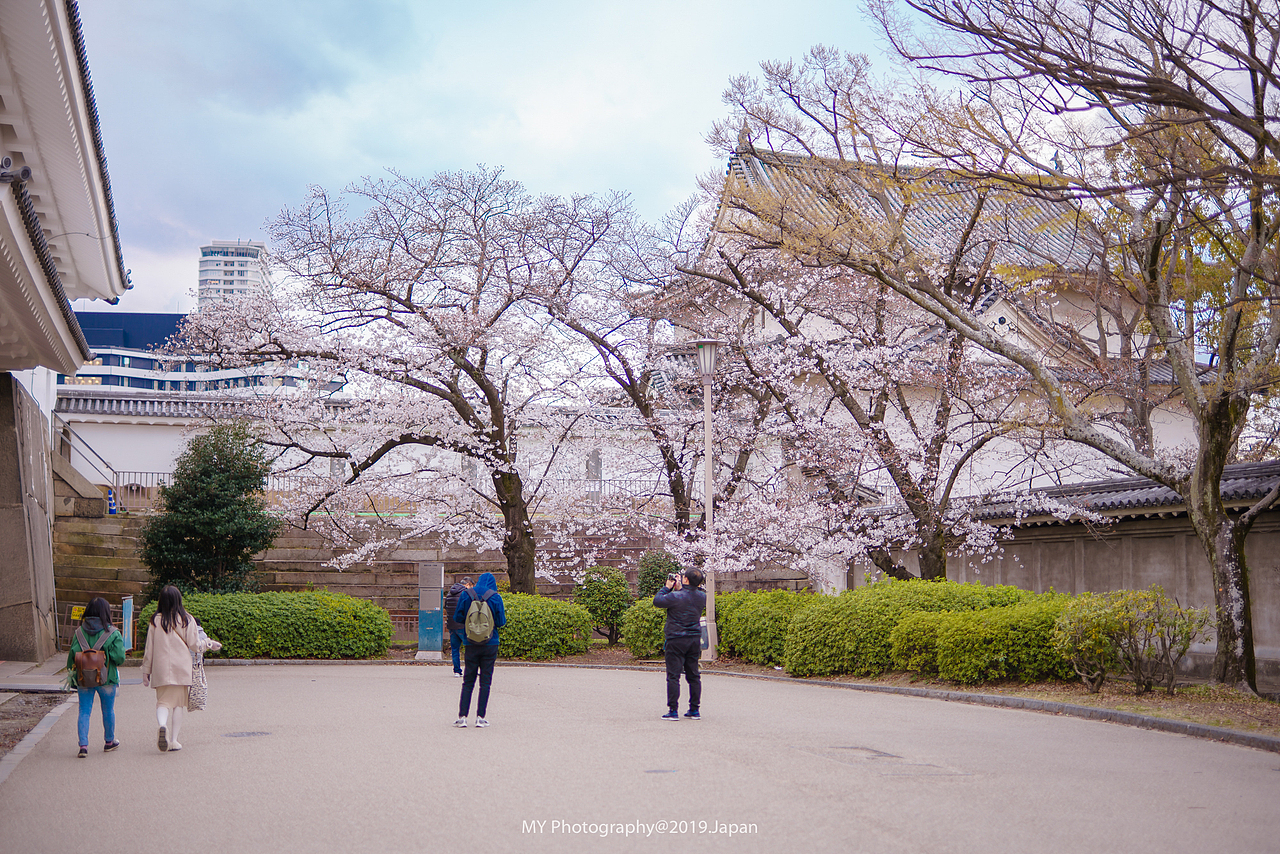 大阪城公园（图ZMTU3NTMzNjUy） - 风光摄影 - 站酷设计师燕麦记摄影王小麦原创素材 - 站酷ZCOOL