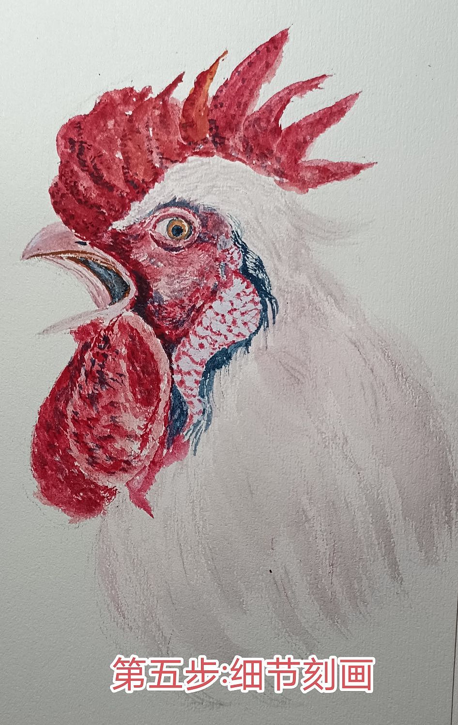 水墨虾与水彩大公鸡（图ZMzY3ODM5NTUy） - 绘画 - 站酷设计师苏向东号清慧原创素材 - 站酷ZCOOL
