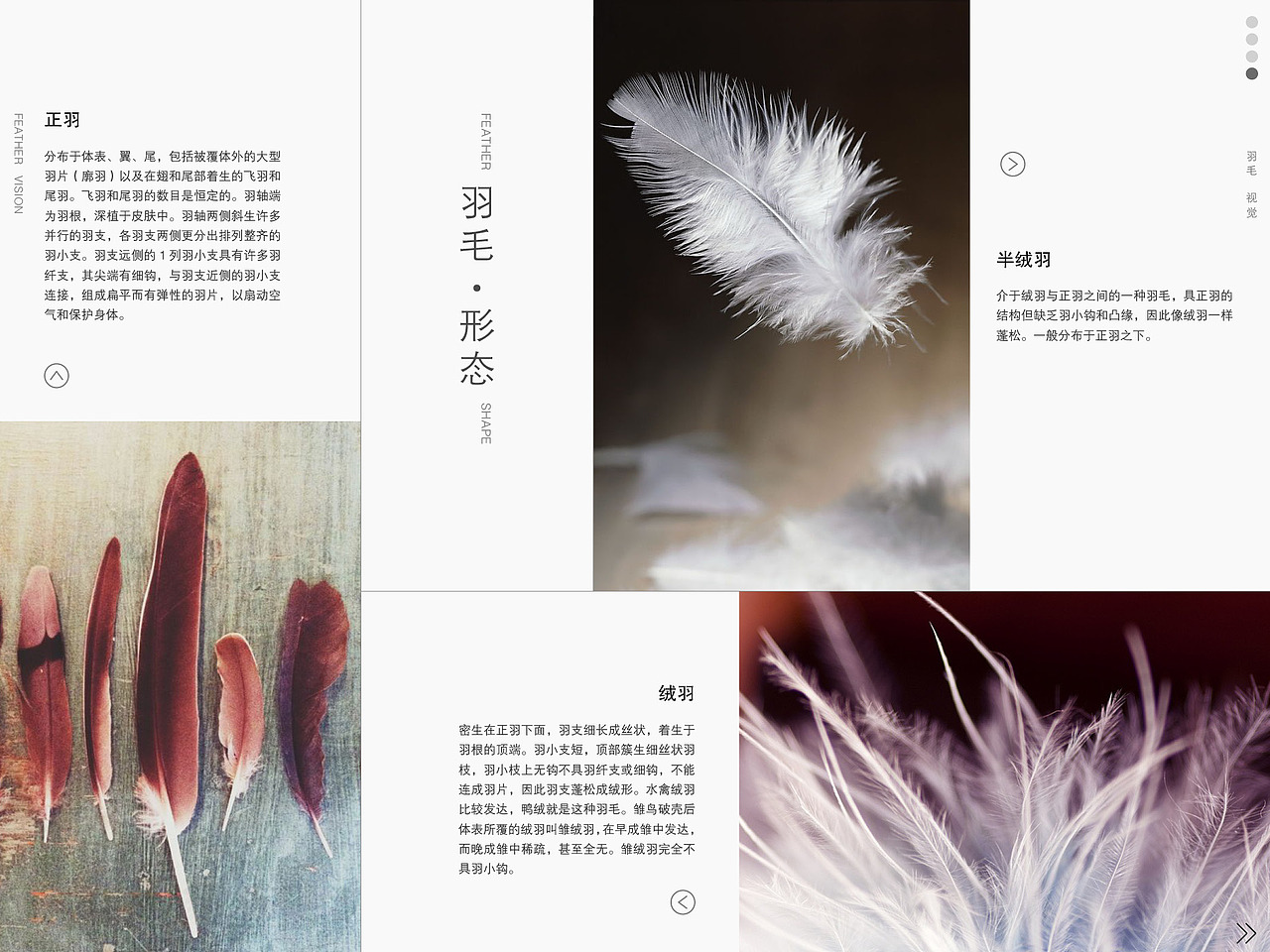 2015年夏毕业设计作品（版式排版）（图ZMzMwOTYwNjg=） - 其他平面 - 站酷设计师Aria_Zhang原创素材 - 站酷ZCOOL