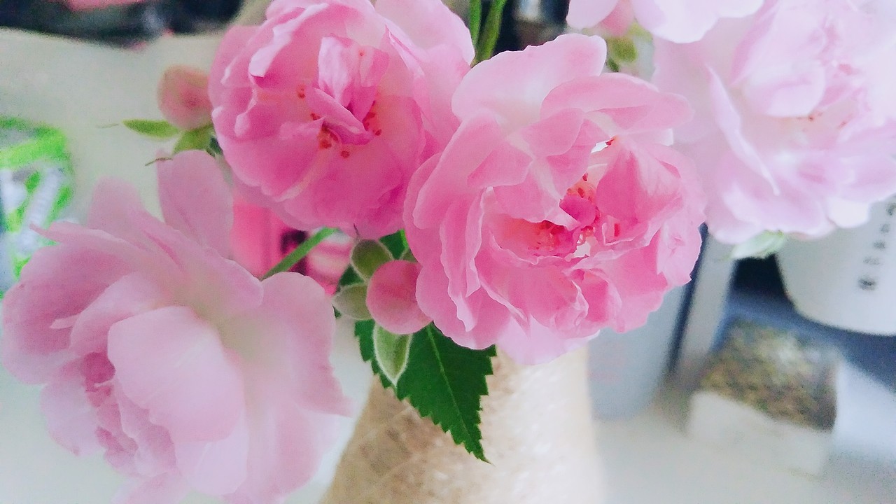 生活中的小美好（圖ZMTEyOTA5NjE2） - 人文/紀(jì)實(shí)攝影 - 站酷設(shè)計(jì)師青挽原創(chuàng)素材 - 站酷ZCOOL