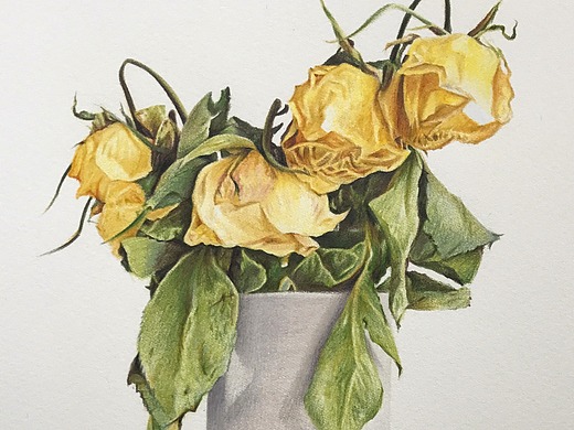 彩铅画《枯萎》