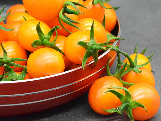 千禧/西红柿/水果/蔬菜/