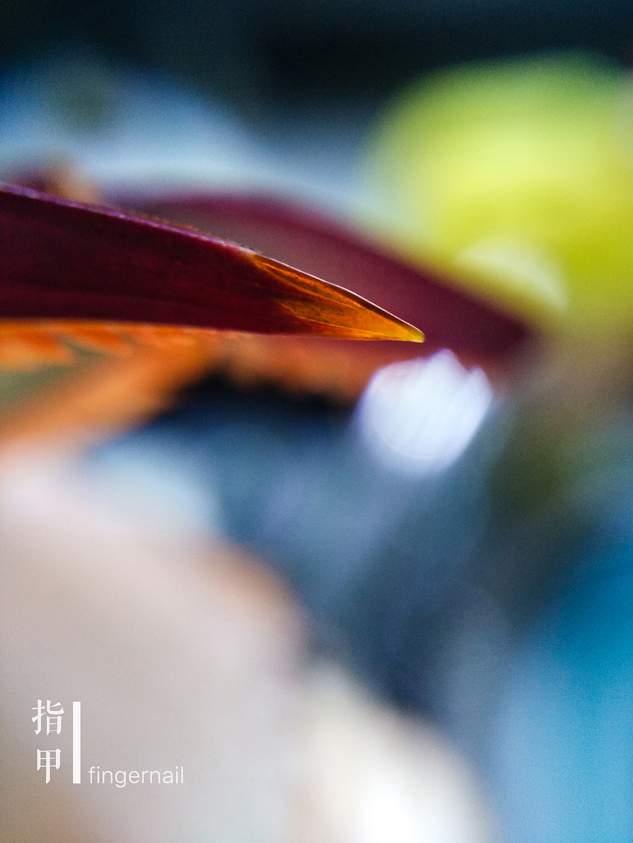 微世界——手机摄影【第一期】（图ZNTk1NzIzMjQ=） - 修图/后期 - 站酷设计师tctong原创素材 - 站酷ZCOOL