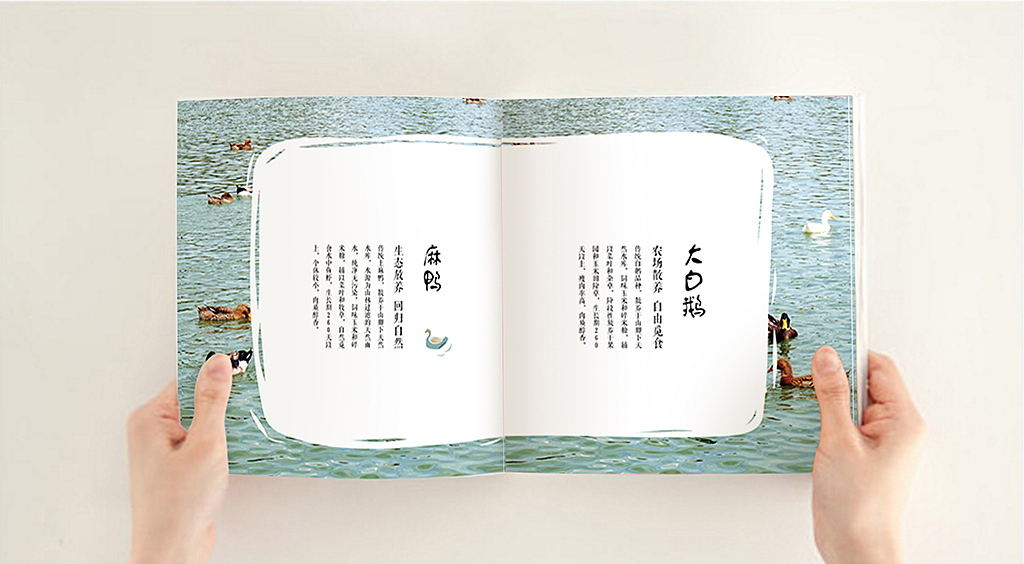 有机农庄插画物料品牌设计练习（图ZODM4MzQ0NDQ=） - 商业插画 - 站酷设计师猫屋Becky原创素材 - 站酷ZCOOL