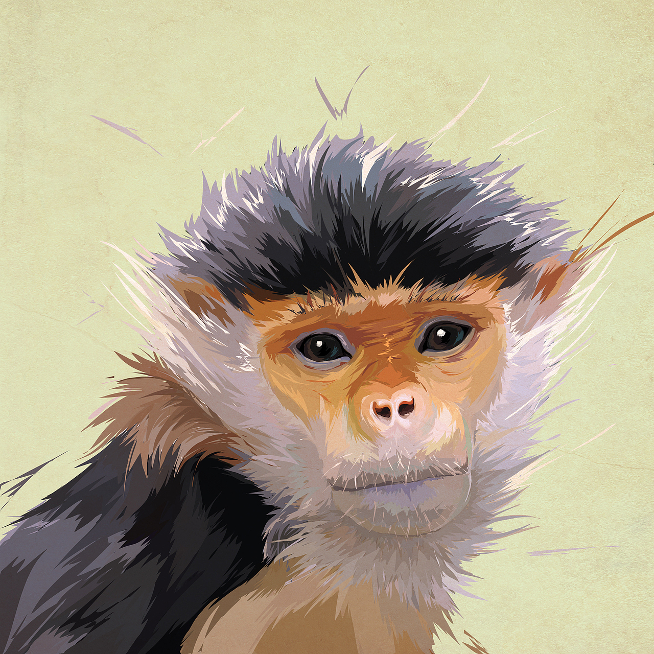 中国白臂叶猴1893年灭绝