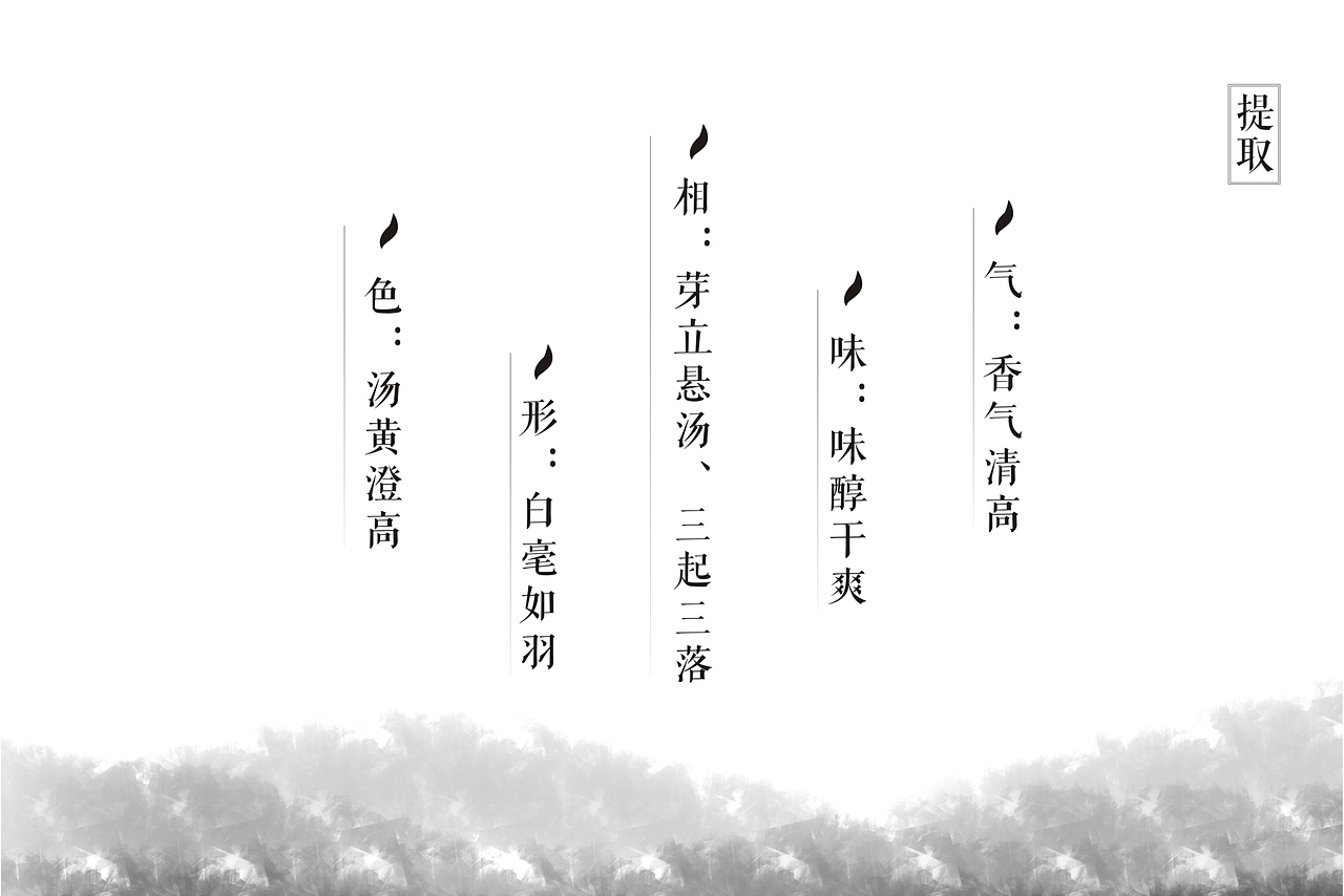 “拂羽”茶包装调研ppt