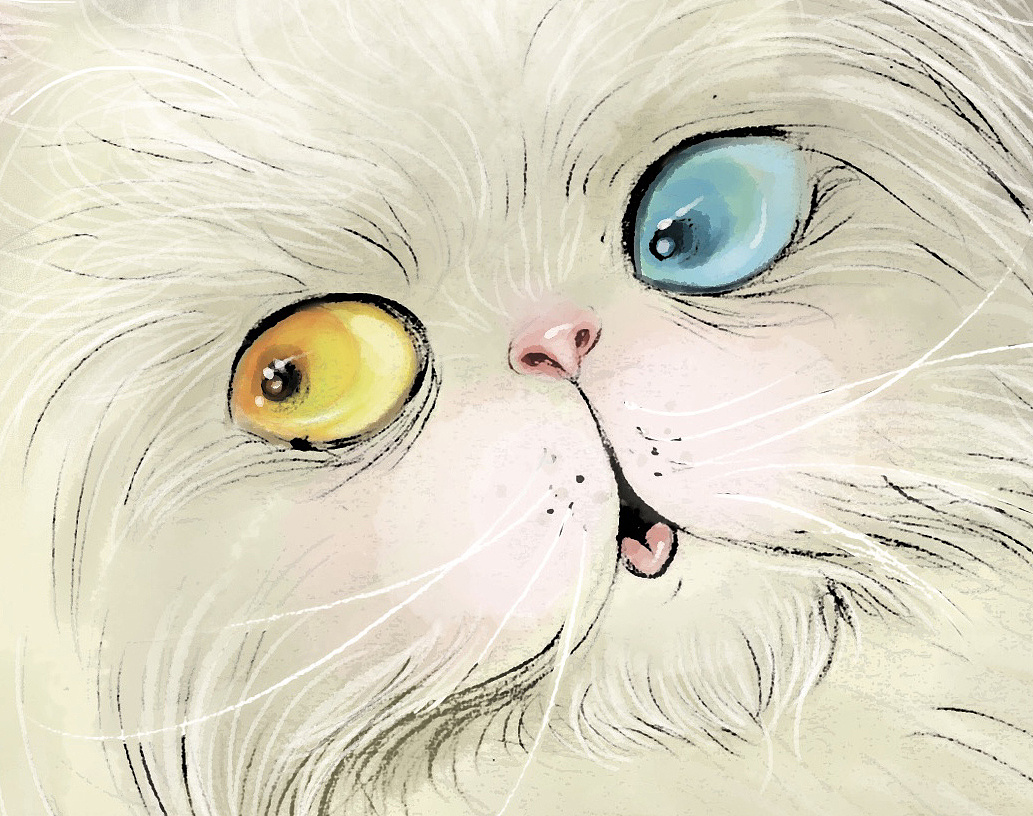 绘本波斯猫派克在冬天的奇遇开启创作模式