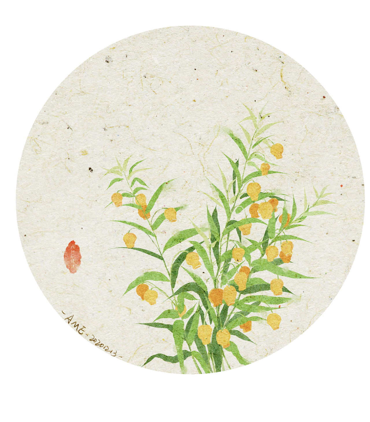 国风植物集|插画|创作习作|ame炸油条 - 原创作品 - 站酷 (zcool)