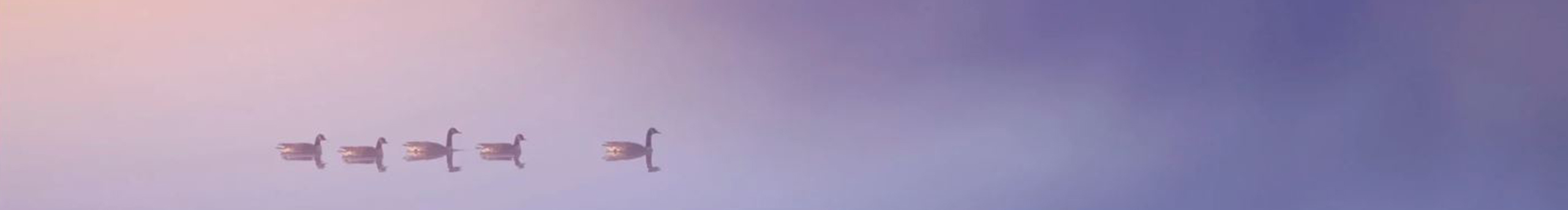 敢小姐的个人主页（背景预览） - 主页背景设置 - 站酷设计师敢小姐原创素材 - 站酷ZCOOL