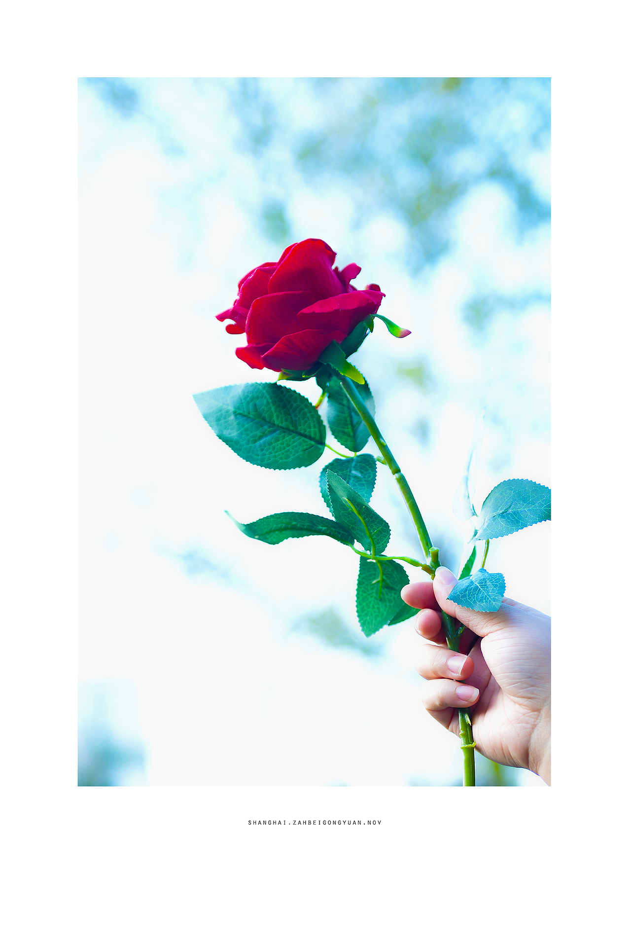 winter（图ZMzgwMDQ0MDQ=） - 其他摄影 - 站酷设计师adameve原创素材 - 站酷ZCOOL