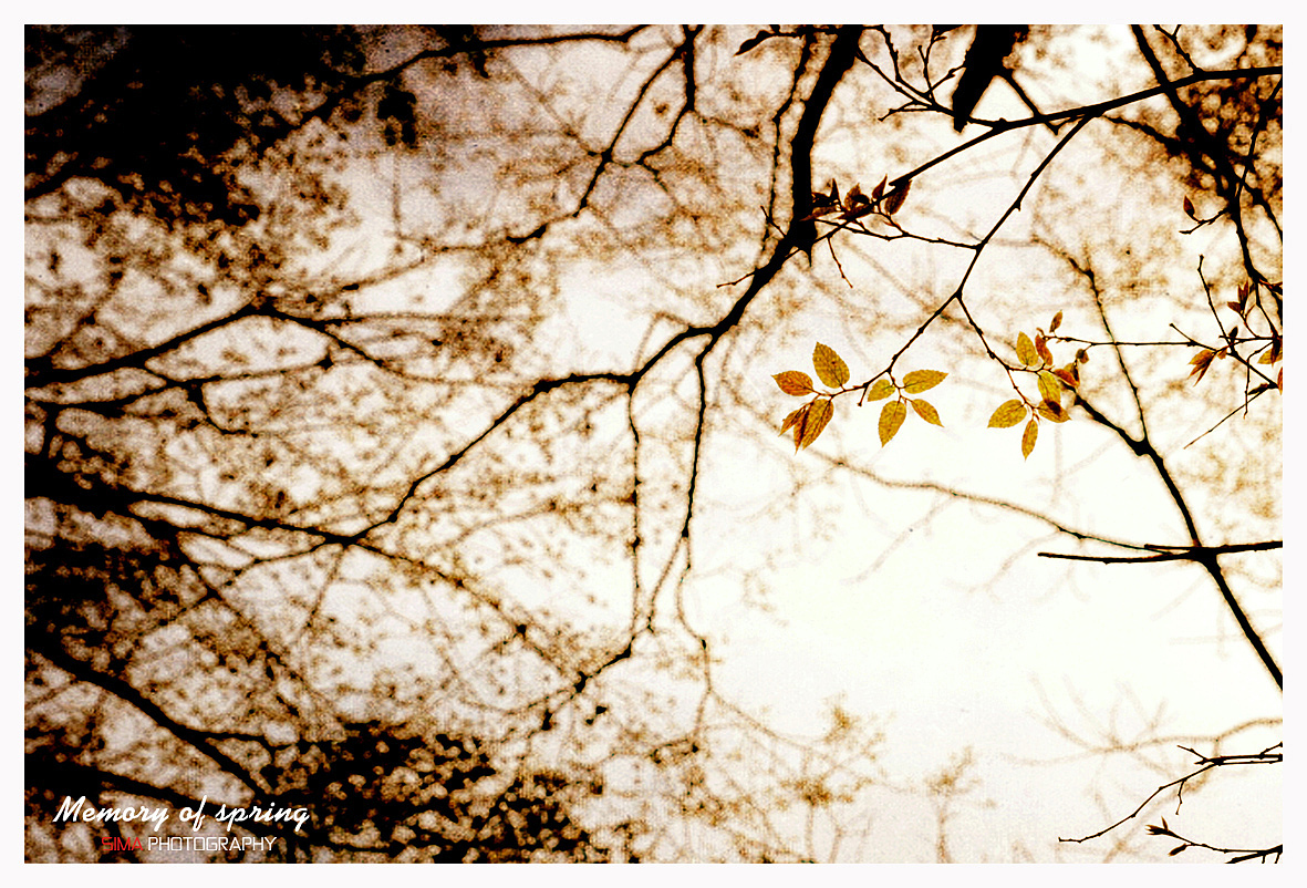 时光留声（图ZMTE5NTc4MTQ4） - 人文/纪实摄影 - 站酷设计师司马摄影原创素材 - 站酷ZCOOL