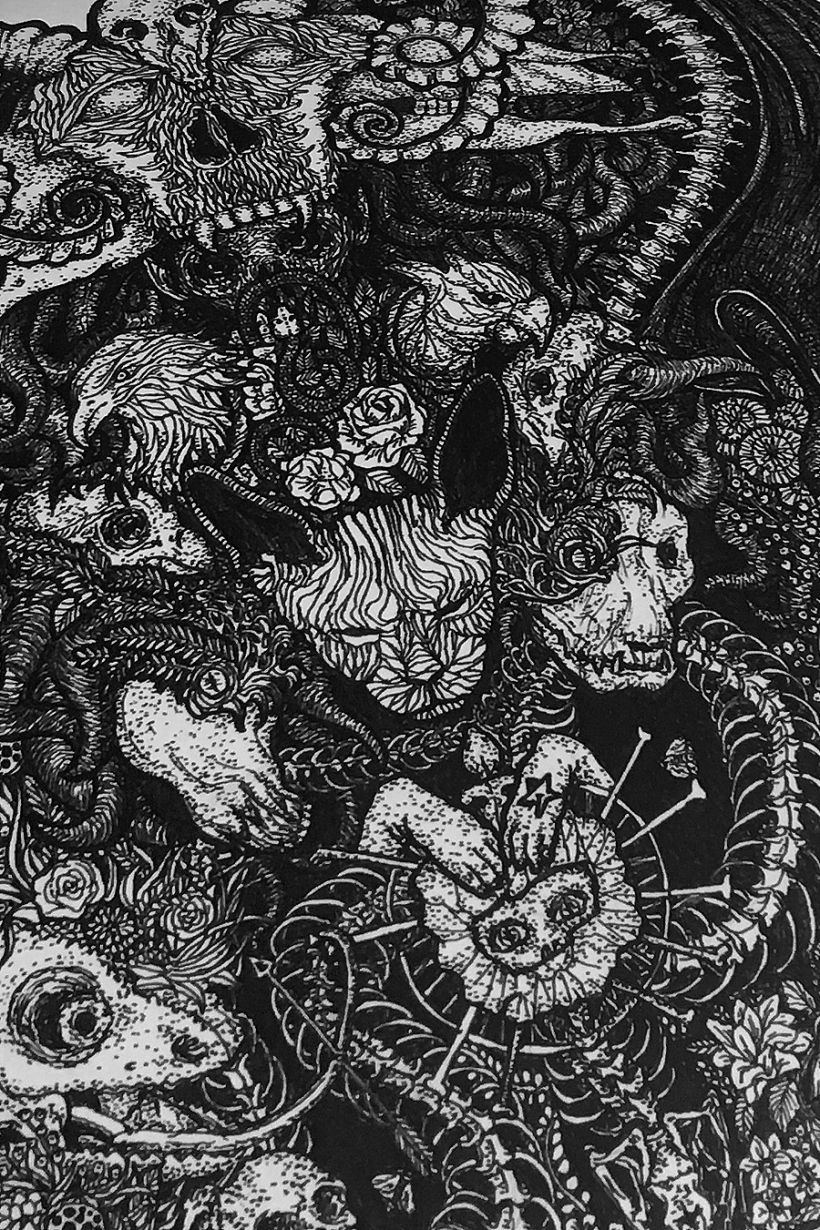 TTwei工作室LY《万物系列》-原创艺术插画