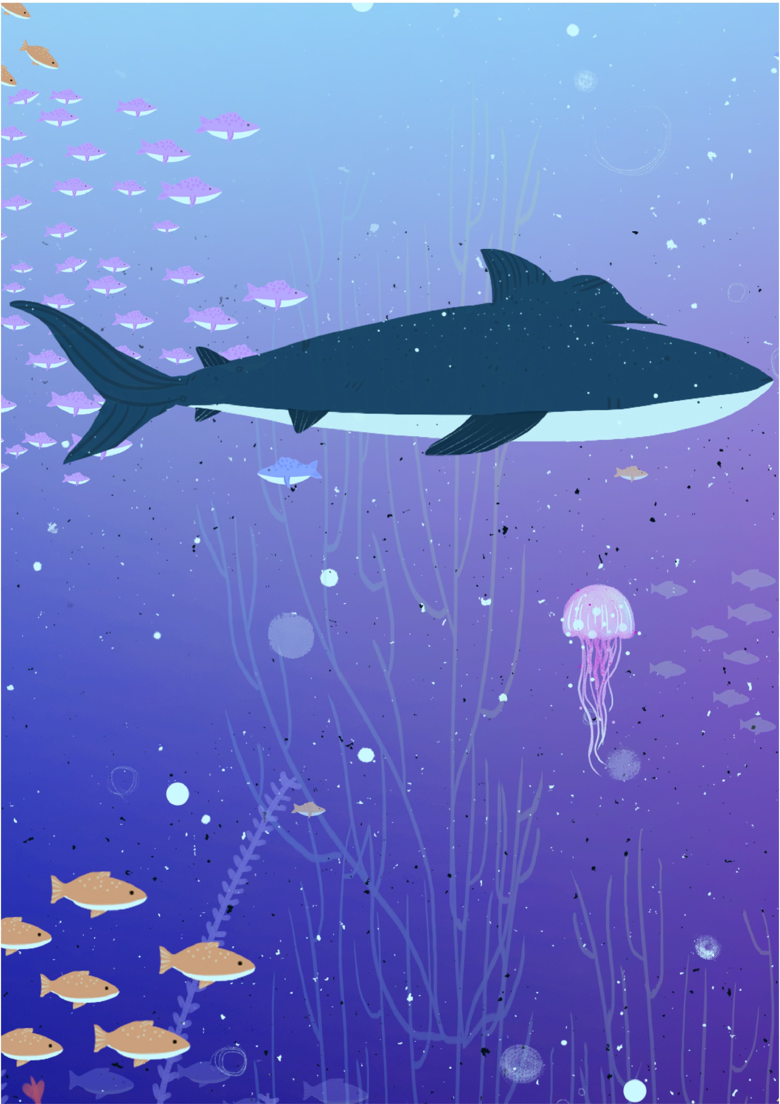 海底|插画|概念设定|一只咸鱼0 - 原创作品 - 站酷 (ZCOOL)