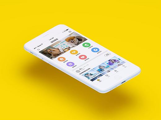 宠物寄旅APP