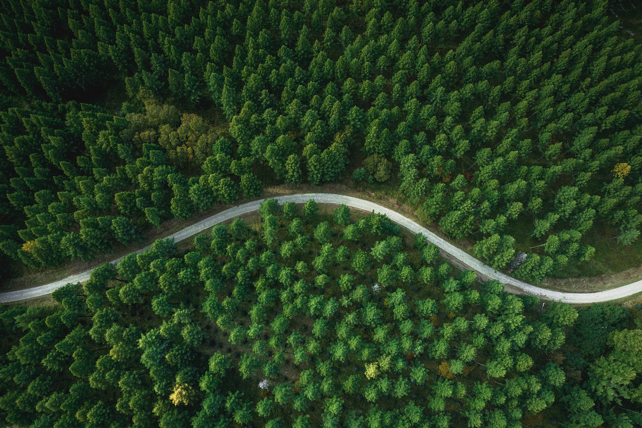 塞罕坝 森林航拍|摄影|风光摄影|qiujiajie3 - 原创作品 - 站酷 (zcoo