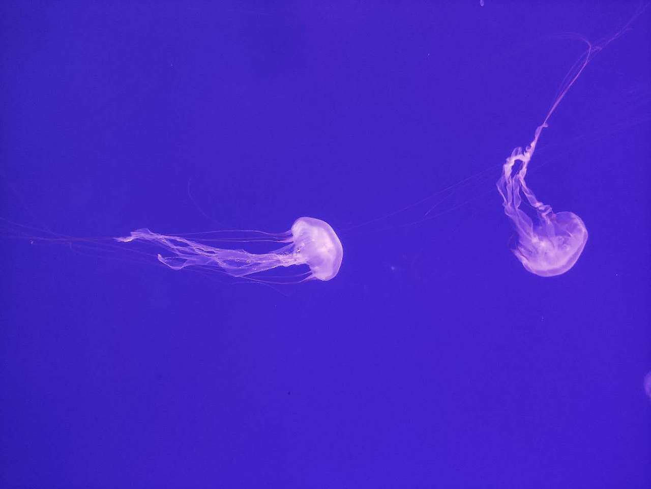 霓虹幻彩（图ZMjIxOTk2NjMy） - 其他 - 站酷设计师氓氓神荼原创素材 - 站酷ZCOOL