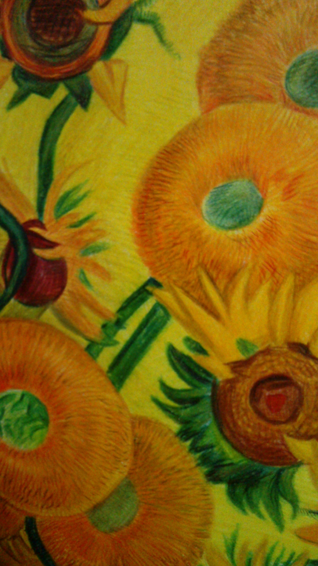 彩铅临摹梵高十五朵向日葵