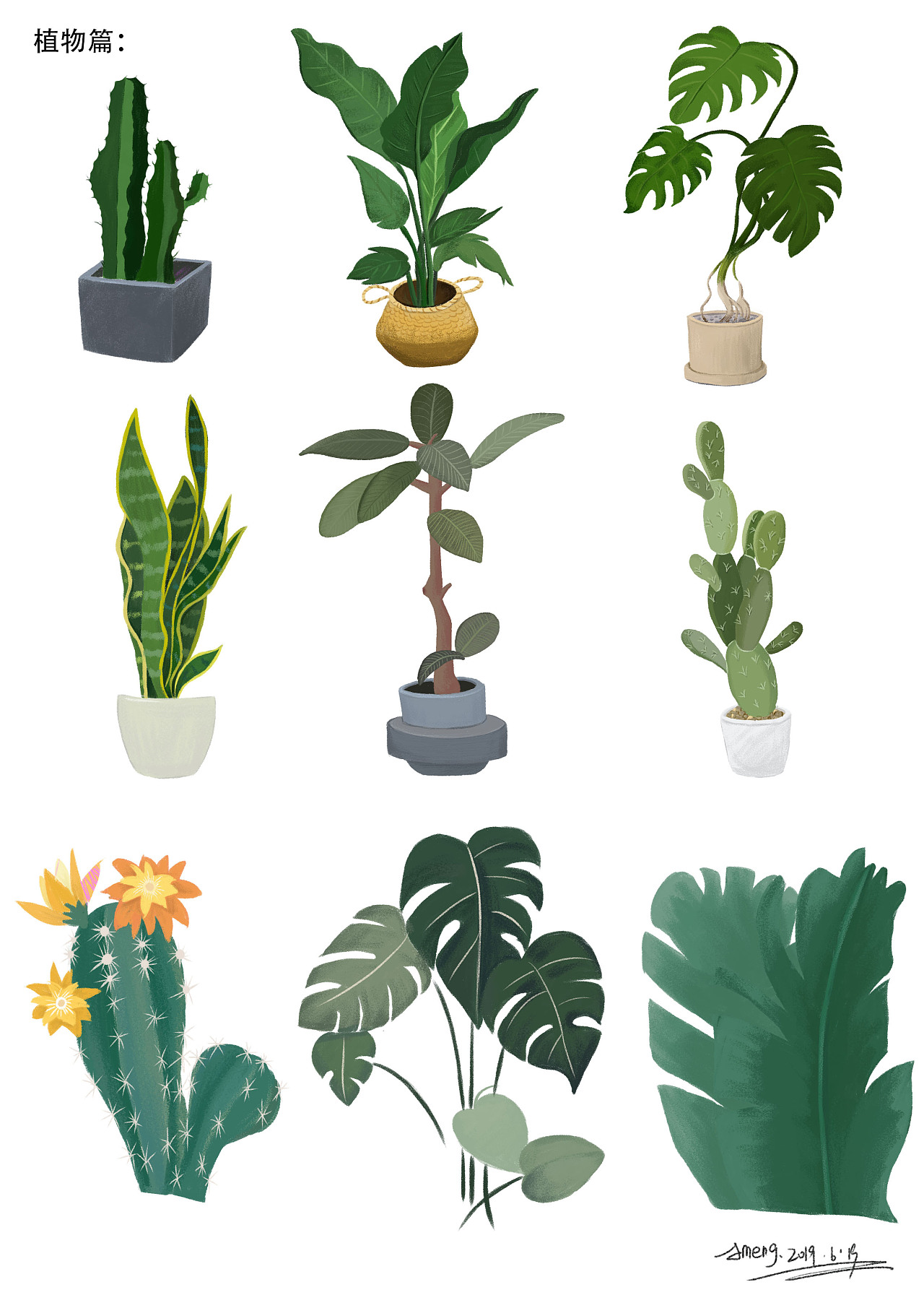 植物篇插画