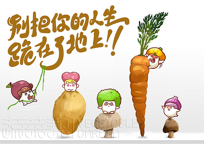 关于蔬菜的故事
