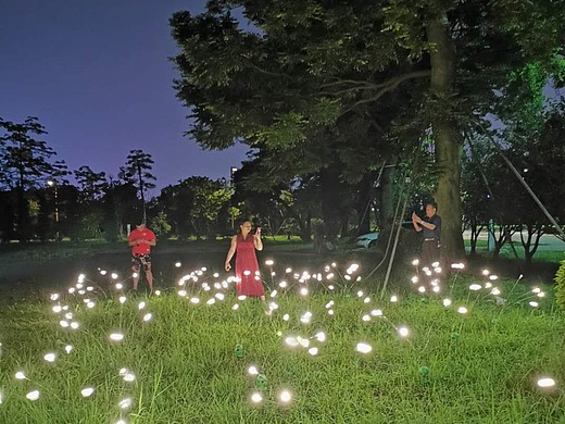 仿生萤火虫灯户外草坪装饰景观灯网红爆款萤火虫灯
