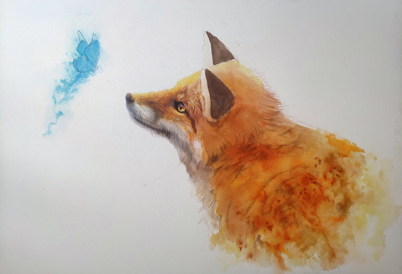 小蝴蝶与小狐狸