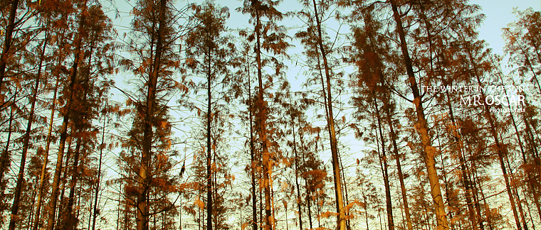 拍点什么好（图ZMjA0ODU0NA==） - 人文/纪实摄影 - 站酷设计师oscarzhan原创素材 - 站酷ZCOOL