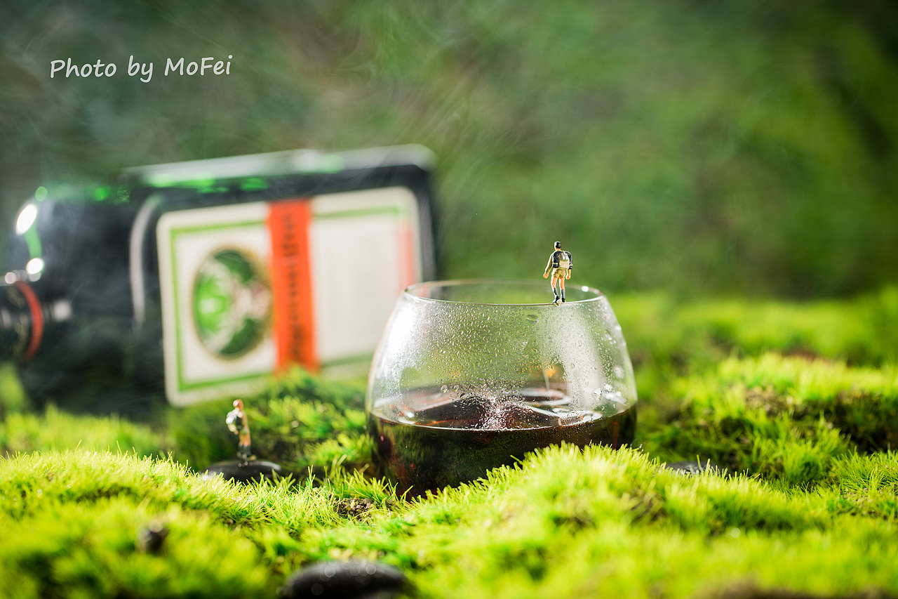 五月,迷失在绿野仙踪(洋酒拍摄)