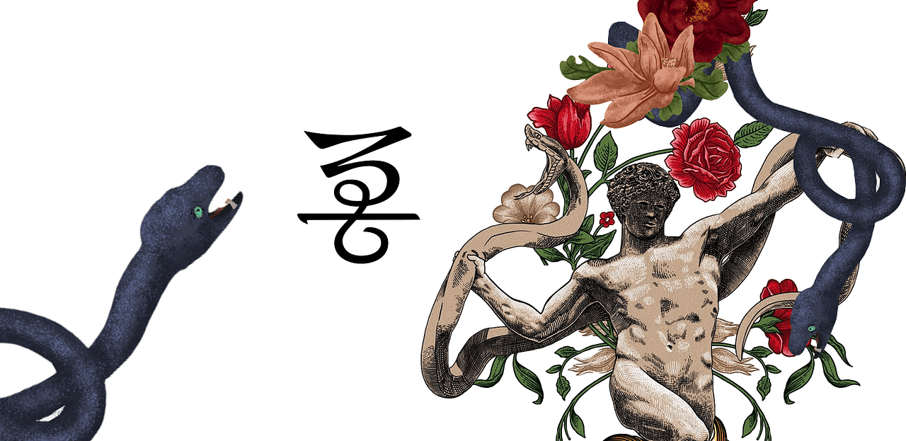 击石拊石百兽率舞hellolink红茶礼盒包装设计