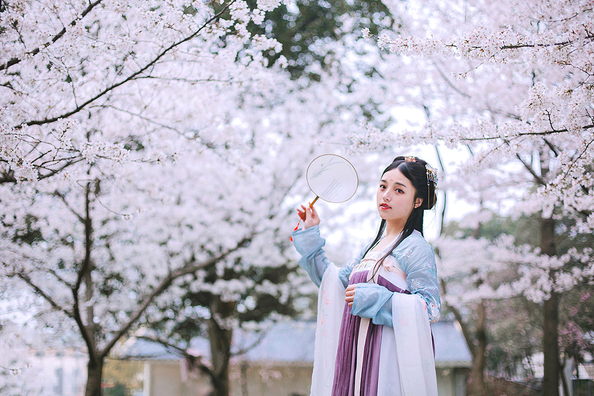 惆怅东栏一株雪