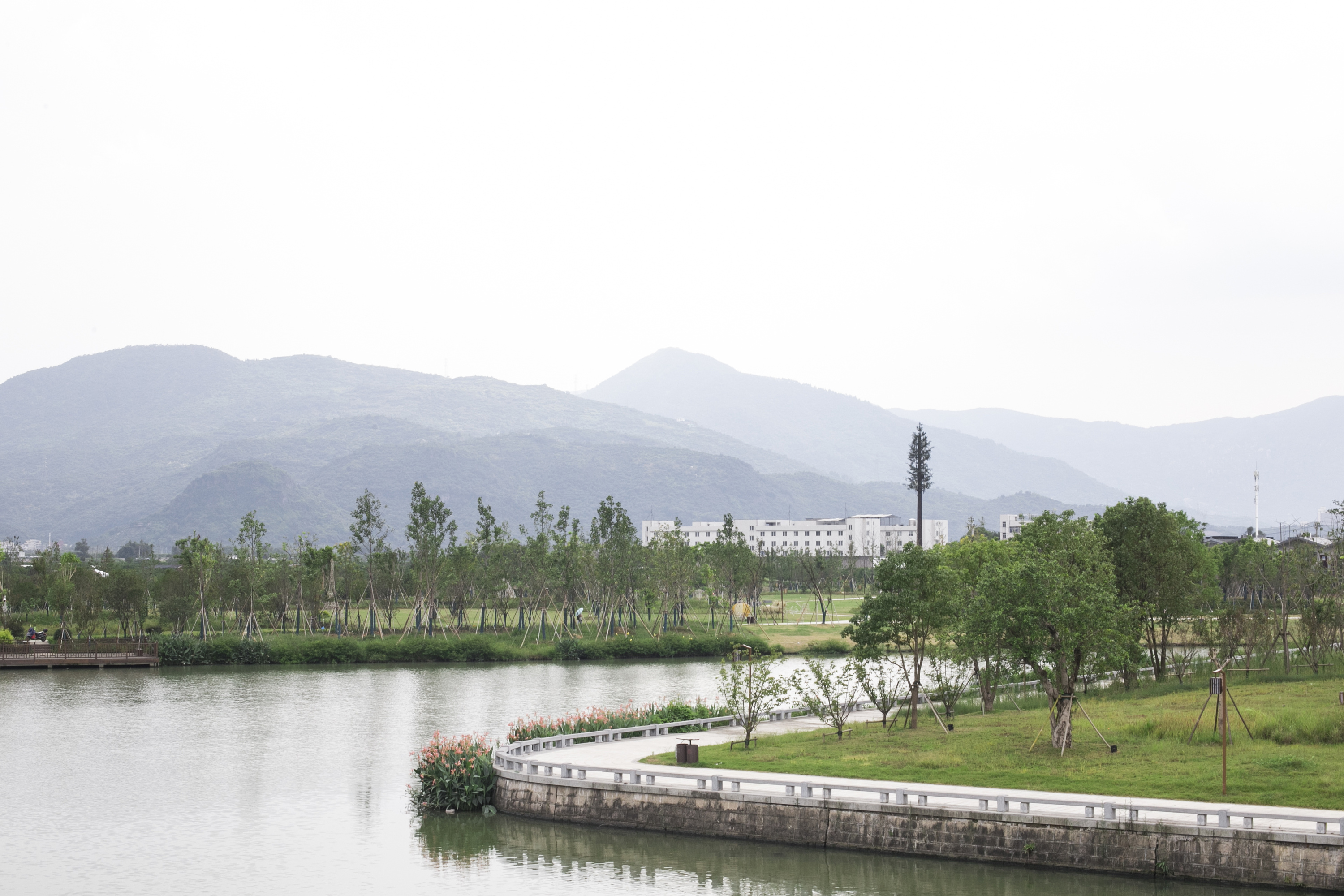 温州市三垟湿地|摄影|风光|Z37930934 - 原创作品 - 站酷 (ZCOOL)