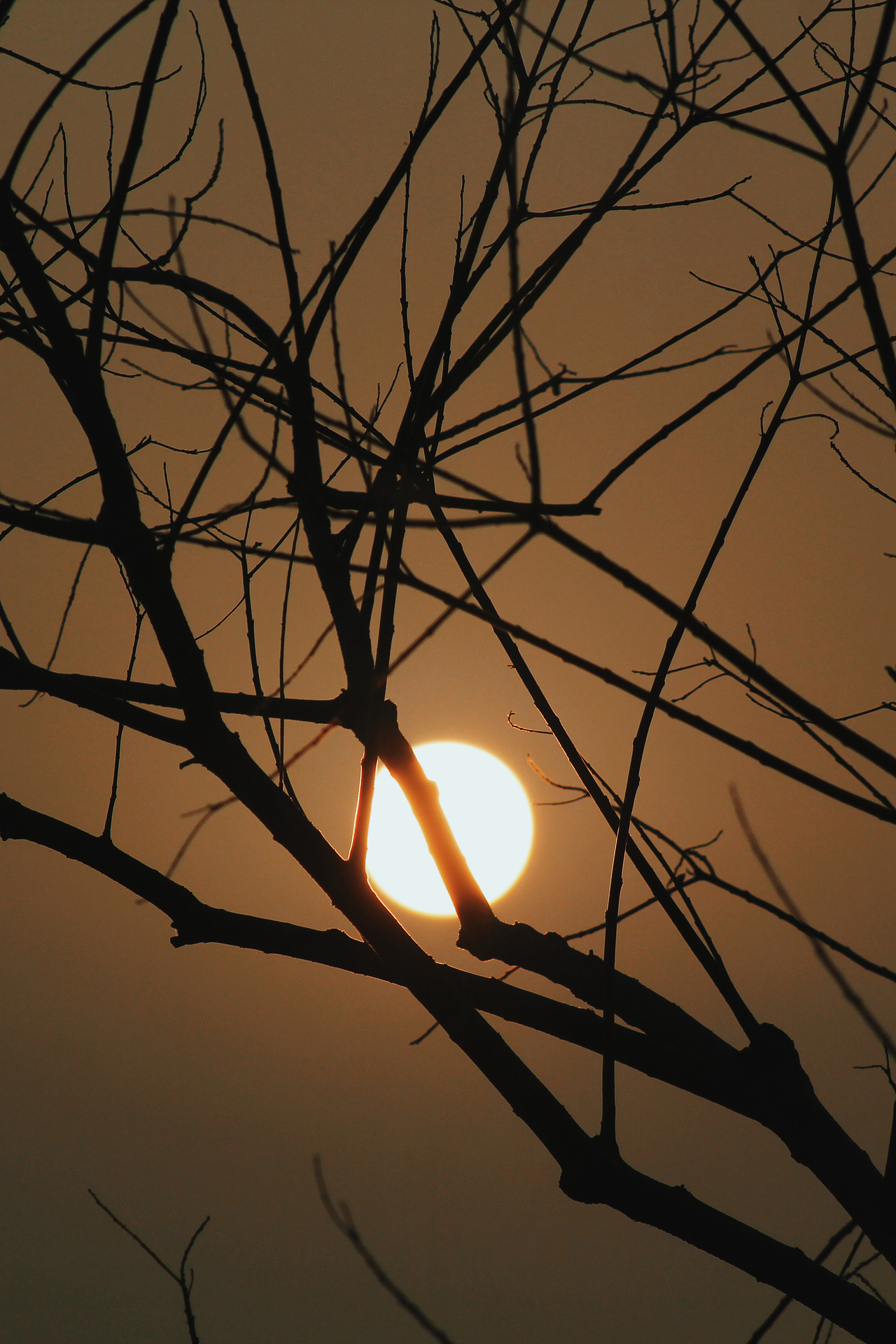 阴天时分的夕阳