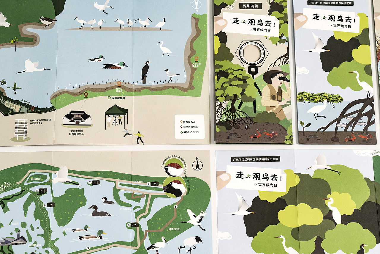 世界候鸟日-观候鸟折页及海报