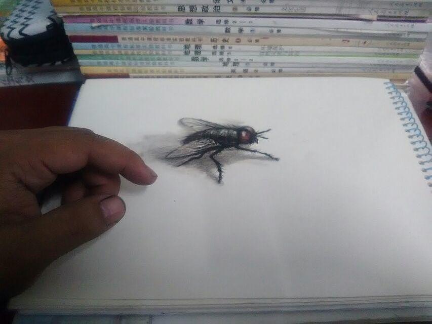 彩铅动物习作《动物》