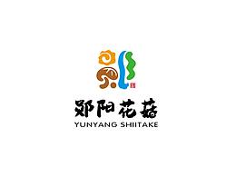 郧阳花菇,武当山下好花菇