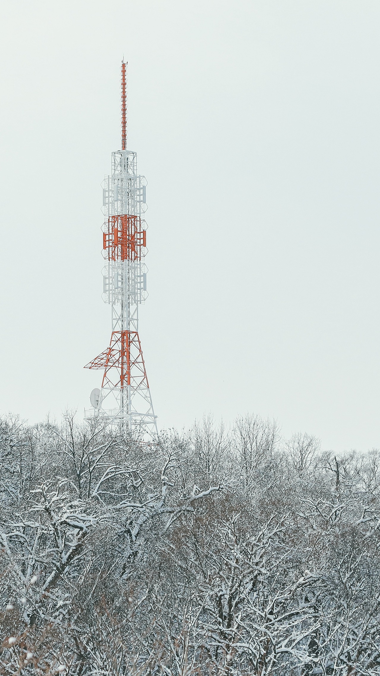 北海道小樽，出发，只为旧路还家  