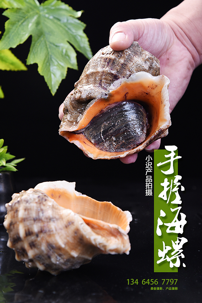 东港海鲜（图ZOTY1ODc1ODQ=） - 产品摄影 - 站酷设计师哓迟設影原创素材 - 站酷ZCOOL