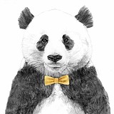 熊猫上树的乐趣啊的头像
