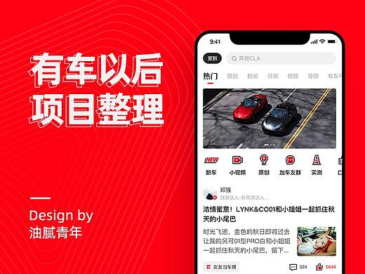 有车以后项目总结