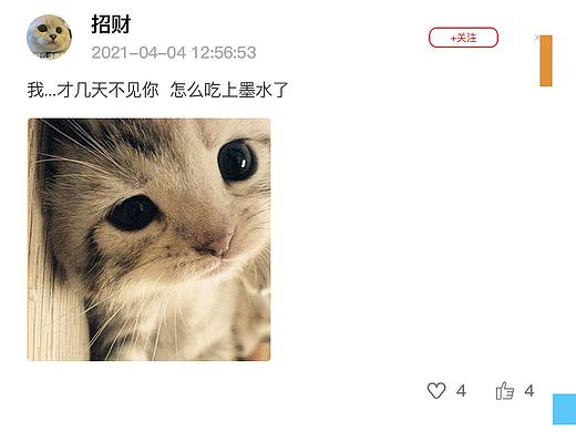 iOS猫圈APP（临摹）（个人主页-ZNTI3NDAwODg=） - APP界面 - 站酷设计师猛犸猛犸象原创素材 - 站酷ZCOOL