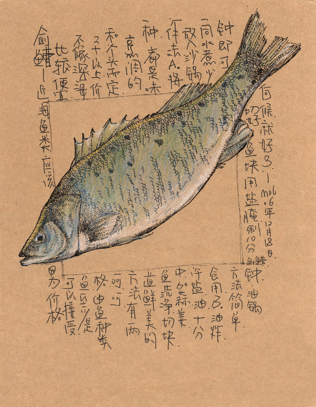 这个关于海鲜的插画手稿(一)