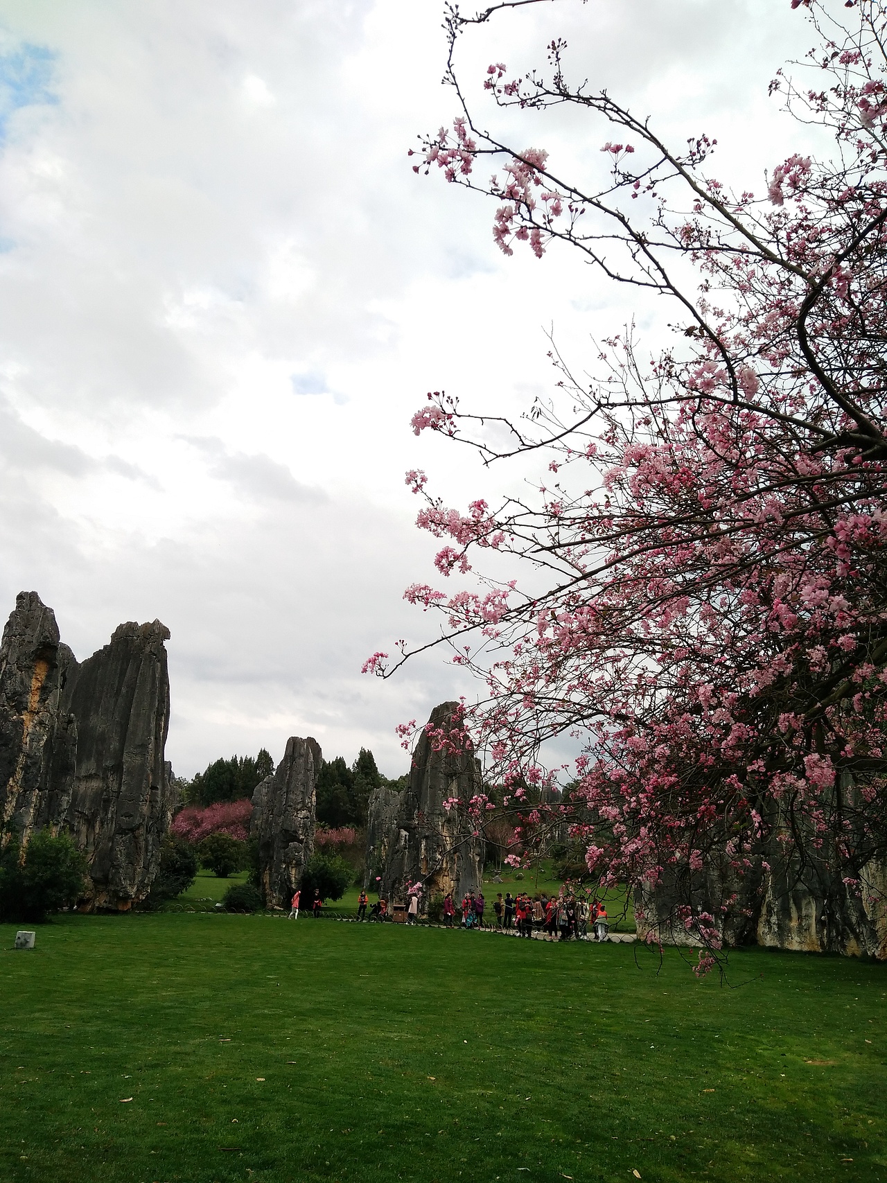 云南旅途的日常照