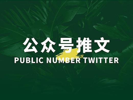 公众号推文