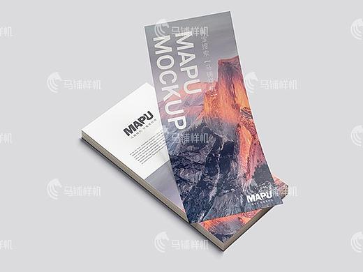 单页长竖版智能贴图样机模板vi设计提案展示psd素材