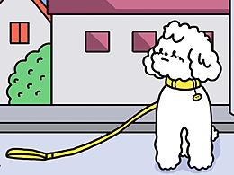 小白微信表情包