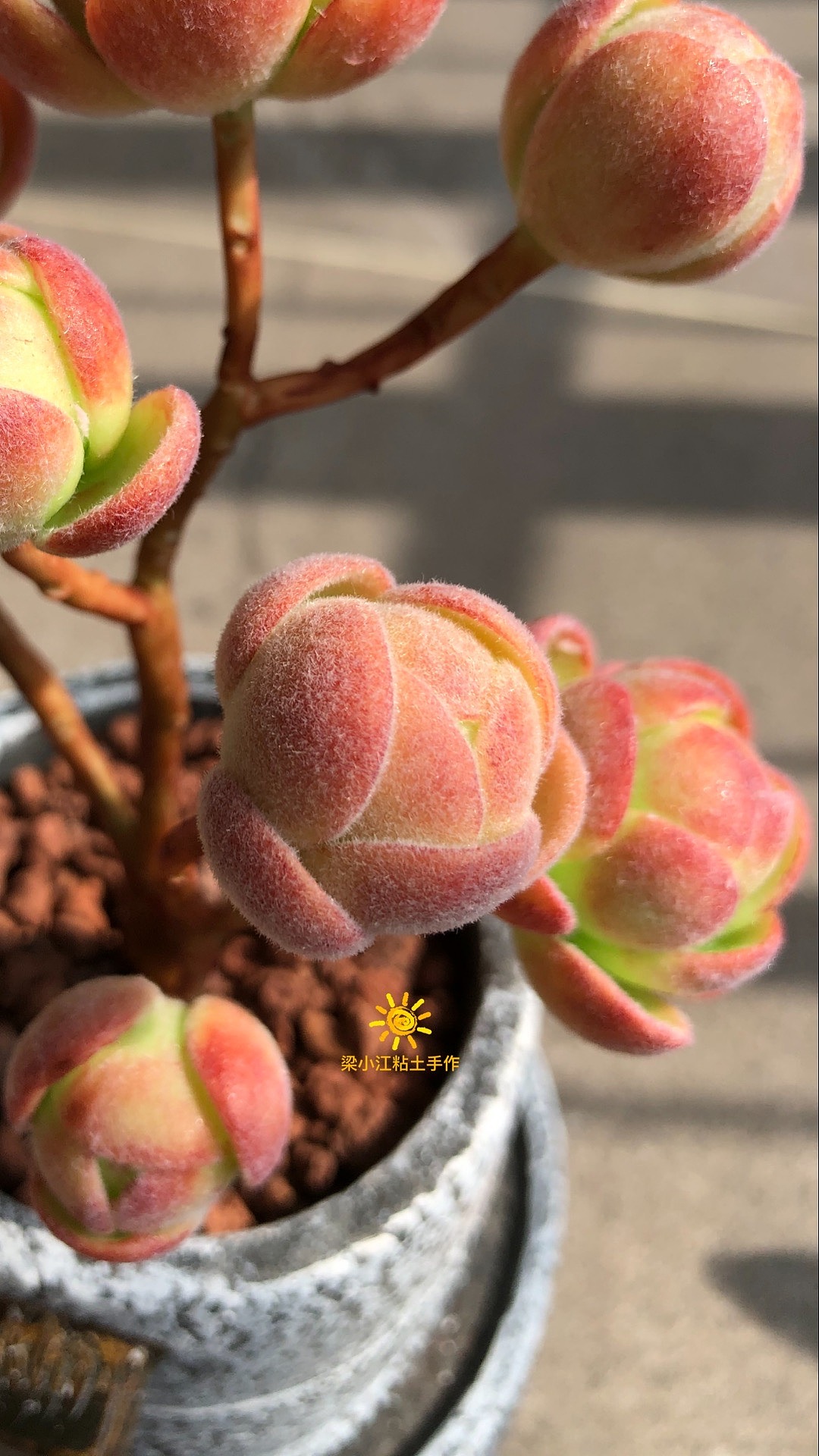 粘土多肉-橄榄球玫瑰（图ZMjM3NTQ4Nzk2） - 其他手工艺 - 站酷设计师梁小江粘土手作原创素材 - 站酷ZCOOL