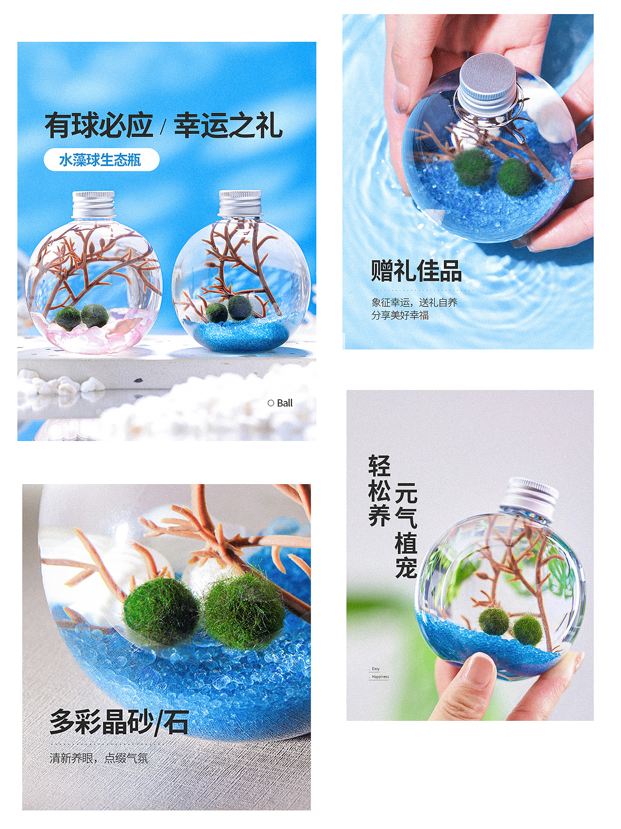绿植摄影-2020下半年总结（图ZMjM4NzM4NTQ4） - 产品摄影 - 站酷设计师五丘原创素材 - 站酷ZCOOL