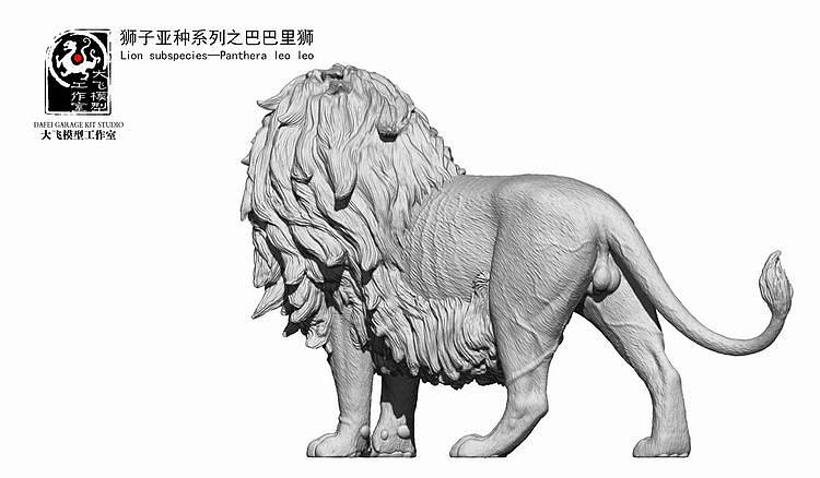 逝去的的王者——巴巴里狮。(图ZNjg4NTM4MDQ=) - 手办/模玩 - 站酷设计师画画的大飞原创素材 - 站酷ZCOOL