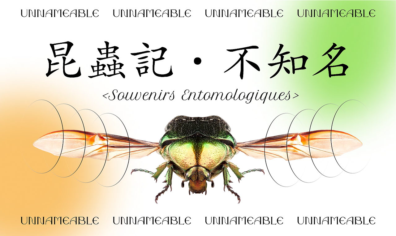 昆虫系列海报x7（图ZMzQ4NTE5NTQ4） - 海报 - 站酷设计师CestbonY原创素材 - 站酷ZCOOL