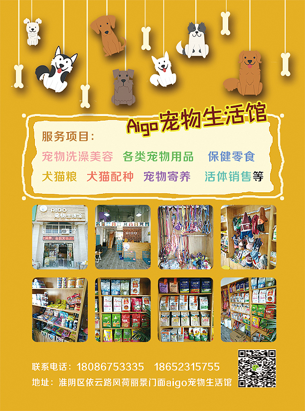 宠物店传单